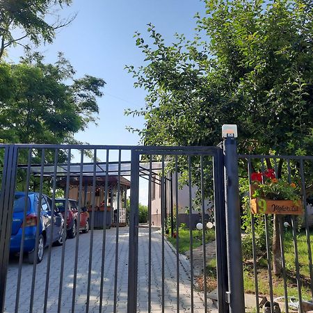 Vintage And Cozy Room, Free Parking, Shared House In The Small Quiet Village Alba Iulia Exteriör bild