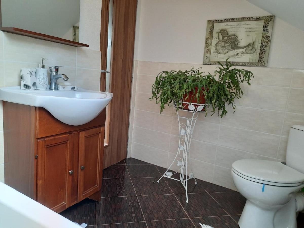 Vintage And Cozy Room, Free Parking, Shared House In The Small Quiet Village Alba Iulia Exteriör bild